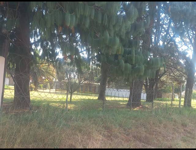 FARM FOR SALE IN ELOFF